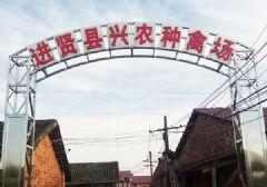 仪器校准机构哪家靠谱：现场见过的几个真实坑