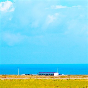 医疗设备进口论证方案范本：一个本地服务商的随记